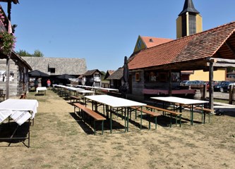 Ogranak seljačke sloge Buševec proslavio 100 godina djelovanja