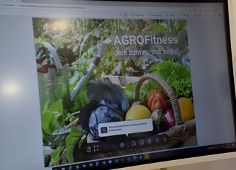 "AGROfitness", "Selim se", "Probudi se VG"... Polaznici predinkubacijskog programa predstavili svoje poduzetničke ideje