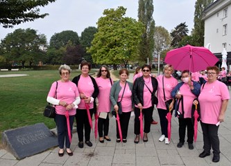 FOTOGALERIJA Edukacijom protiv raka dojke bore se već 20 godina! Proslavu jubileja ovjekovječili milenijskom fotografijom