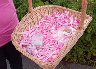 FOTOGALERIJA Edukacijom protiv raka dojke bore se već 20 godina! Proslavu jubileja ovjekovječili milenijskom fotografijom