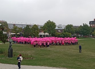 FOTOGALERIJA Edukacijom protiv raka dojke bore se već 20 godina! Proslavu jubileja ovjekovječili milenijskom fotografijom