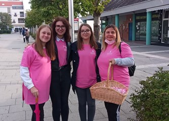 FOTOGALERIJA Edukacijom protiv raka dojke bore se već 20 godina! Proslavu jubileja ovjekovječili milenijskom fotografijom
