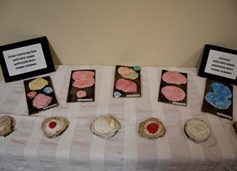 FOTO "Dan moga grada": Pogledajte kako mali Goričani vide svoj grad