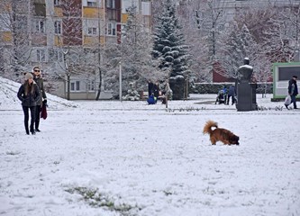 FOTOGALERIJA Praznici nisu mogli bolje početi: Mali Velikogoričani uživali u sanjkanju, izradi snjegovića, grudanju...