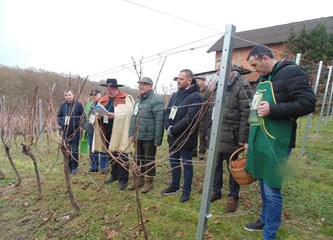 FOTO Vincekovo u Kostanjevcu: Vinogradari okitili svoj trsek i poželjeli mirnu i zdravu godinu