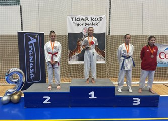 Sedam zlata u Sisku i tri u Zagrebu za Karate klub Velika Gorica: Očekujemo vrlo dobre rezultate i na državnom prvenstvu