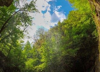 Photo Zagreb County: Među najboljima i fotografije iz Turopoljskog luga i Pokupskog