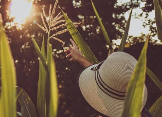 Photo Zagreb County: Među najboljima i fotografije iz Turopoljskog luga i Pokupskog