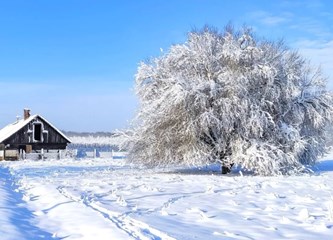 Photo Zagreb County: Među najboljima i fotografije iz Turopoljskog luga i Pokupskog
