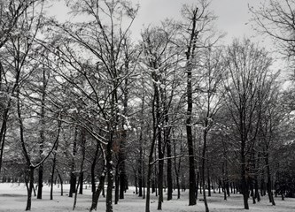 [FOTO] Zima uzvraća udarac: Snijeg izmamio građane van, ali i prouzrokovao probleme