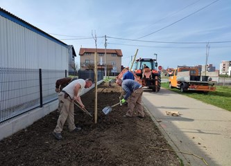 FOTO: Teslina dobila nove ukrasne trešnje