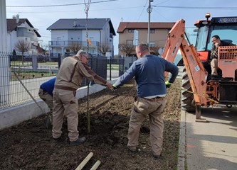FOTO: Teslina dobila nove ukrasne trešnje