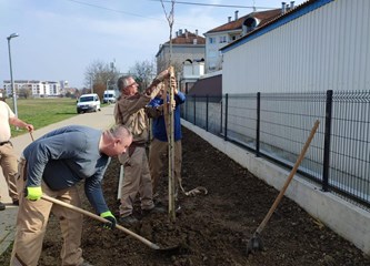 FOTO: Teslina dobila nove ukrasne trešnje