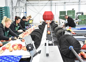 Zahvaljujući solarnoj energiji u Distributivnom centru za voće i povrće u Rakitovcu smanjili potrošnju električne energije za 50 posto