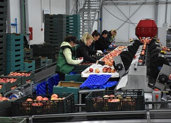 Zahvaljujući solarnoj energiji u Distributivnom centru za voće i povrće u Rakitovcu smanjili potrošnju električne energije za 50 posto