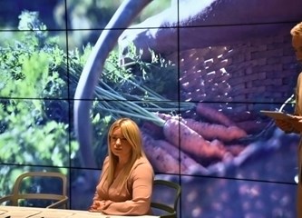 Za razvoj manifestacija i projekata 12 turističkih zajednica iz Zagrebačke županije dobilo 140 tisuća eura