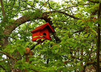 FOTO VIJEST Evo koja je obitelj najljepše uredila svoj balkon i okućnicu ove godine u Kravarskom