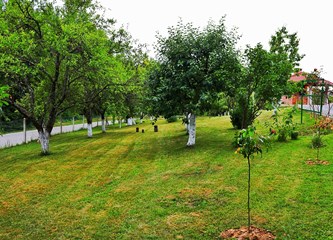 FOTO VIJEST Evo koja je obitelj najljepše uredila svoj balkon i okućnicu ove godine u Kravarskom