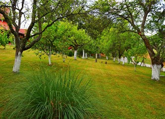 FOTO VIJEST Evo koja je obitelj najljepše uredila svoj balkon i okućnicu ove godine u Kravarskom