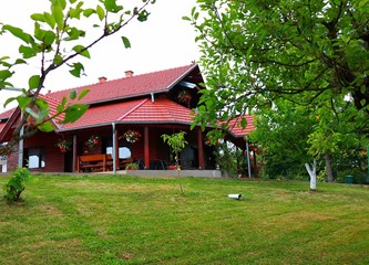 FOTO VIJEST Evo koja je obitelj najljepše uredila svoj balkon i okućnicu ove godine u Kravarskom