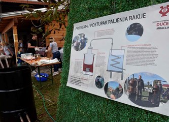 Druženje za pamćenje: Šokci iz Novih Perkovaca rasplamsali paljenje rakije u Mraclinu