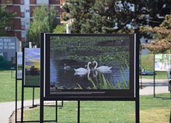 Izložba fotografija i eko radionice na Tuđmancu