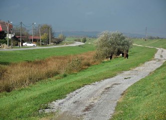 MO Petrovina: Radi se nogostup kroz Petrovinsku, slijedi uređenje puta do Kušanca, a problemi su ostali oni stari