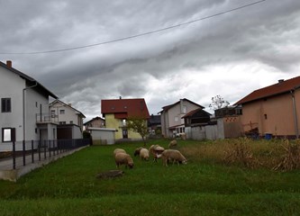 MO Petrovina: Radi se nogostup kroz Petrovinsku, slijedi uređenje puta do Kušanca, a problemi su ostali oni stari
