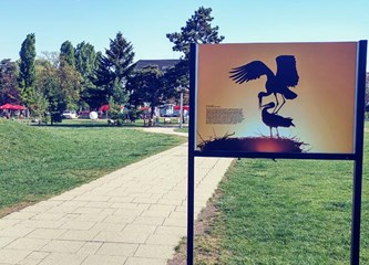 Izložba fotografija i eko radionice na Tuđmancu