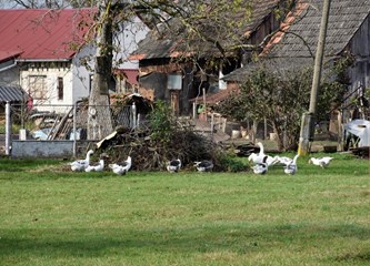 Ne treba im dućan niti birtija: Mirno Bapče čeka svoju prvu kapelicu i sveca zaštitnika