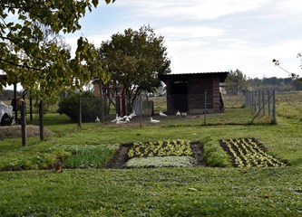 Ne treba im dućan niti birtija: Mirno Bapče čeka svoju prvu kapelicu i sveca zaštitnika