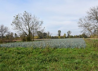 Ne treba im dućan niti birtija: Mirno Bapče čeka svoju prvu kapelicu i sveca zaštitnika