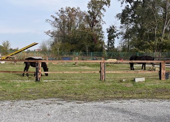 Ne treba im dućan niti birtija: Mirno Bapče čeka svoju prvu kapelicu i sveca zaštitnika