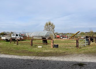 Ne treba im dućan niti birtija: Mirno Bapče čeka svoju prvu kapelicu i sveca zaštitnika