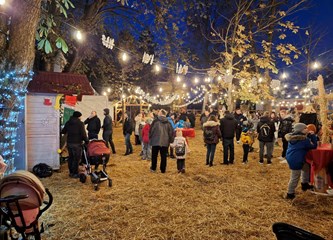 FOTO/VIDEO Blagdanska čarolija čeka vas u Parku Plemenite općine turopoljske! Advent je počeo