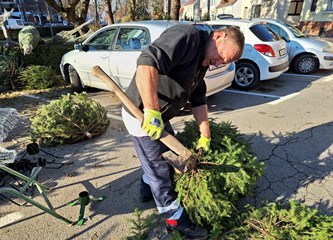 Krenuli ste u potragu za savršenim borom? Evo što se nudi u Gorici i po kojoj cijeni