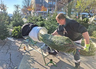 Krenuli ste u potragu za savršenim borom? Evo što se nudi u Gorici i po kojoj cijeni