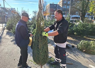 Krenuli ste u potragu za savršenim borom? Evo što se nudi u Gorici i po kojoj cijeni
