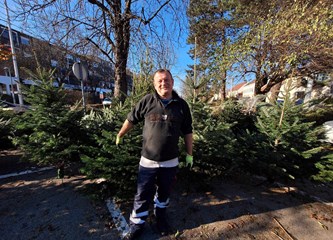 Krenuli ste u potragu za savršenim borom? Evo što se nudi u Gorici i po kojoj cijeni