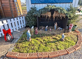 Krenuli ste u potragu za savršenim borom? Evo što se nudi u Gorici i po kojoj cijeni