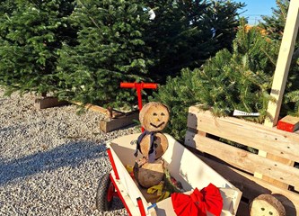 Krenuli ste u potragu za savršenim borom? Evo što se nudi u Gorici i po kojoj cijeni