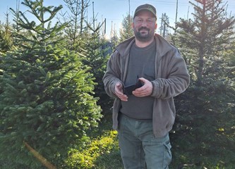 Krenuli ste u potragu za savršenim borom? Evo što se nudi u Gorici i po kojoj cijeni