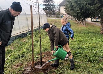 Vrijedne ručice mraclinskih školaraca zasadile 14 stabala u dvorištu svoje stoljetne škole