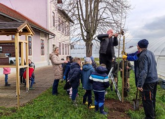 Vrijedne ručice mraclinskih školaraca zasadile 14 stabala u dvorištu svoje stoljetne škole