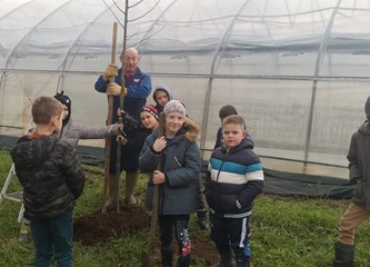 Vrijedne ručice mraclinskih školaraca zasadile 14 stabala u dvorištu svoje stoljetne škole