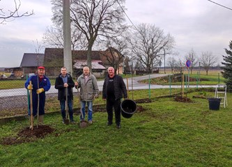 Vrijedne ručice mraclinskih školaraca zasadile 14 stabala u dvorištu svoje stoljetne škole