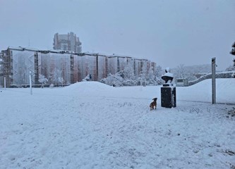 FOTO: Snježna idila u gradu, na Tuđmancu osvanuo prvi snjegović