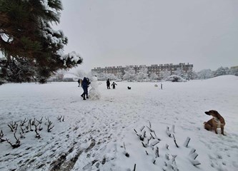 FOTO: Snježna idila u gradu, na Tuđmancu osvanuo prvi snjegović