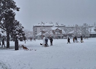 FOTO: Snježna idila u gradu, na Tuđmancu osvanuo prvi snjegović
