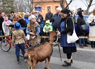 FOTO Velika povorka 115. Turopoljskog fašnika prošla gradom
